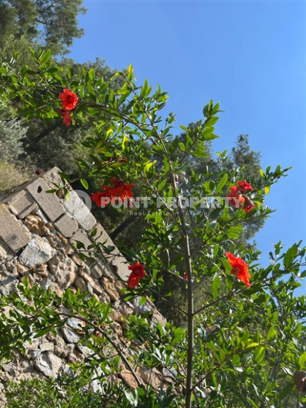 Отдельно стоящий частный дом, 5+2, 250м², в окружении гор, район Асмаджа, Аланья-id-1517-фото-47