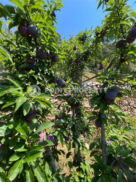 Отдельно стоящий частный дом, 5+2, 250м², в окружении гор, район Асмаджа, Аланья-id-1517-фото-48