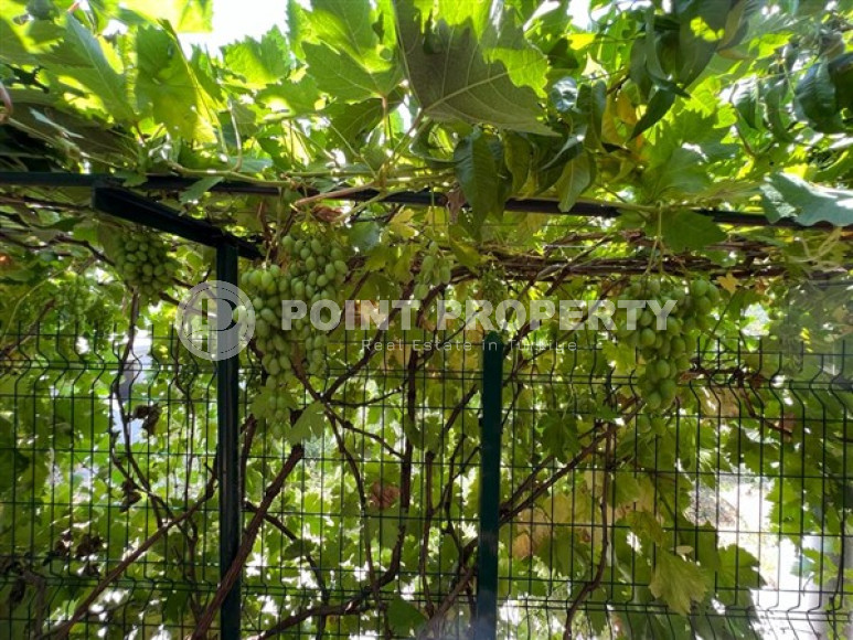 Отдельно стоящий частный дом, 5+2, 250м², в окружении гор, район Асмаджа, Аланья-id-1517-фото-49