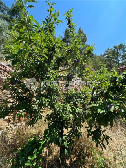 Отдельно стоящий частный дом, 5+2, 250м², в окружении гор, район Асмаджа, Аланья-id-1517-фото-52