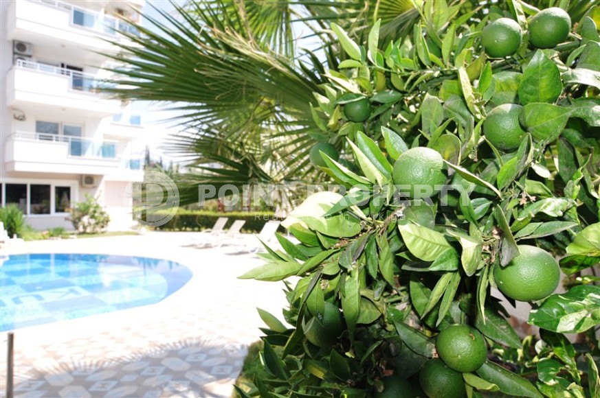 Квартиры в комфортабельном жилом комплексе, построенном в 2015 году, в километре от моря-id-6590-фото-10