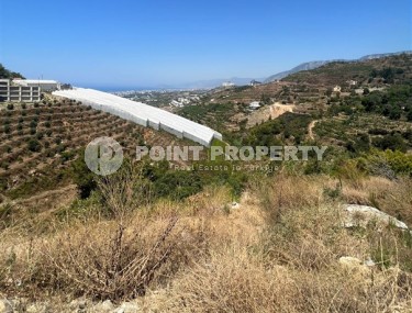 Участок площадью 541 м2 с разрешением на строительство, в четырех с половиной километрах от моря-id-6909-фото-2