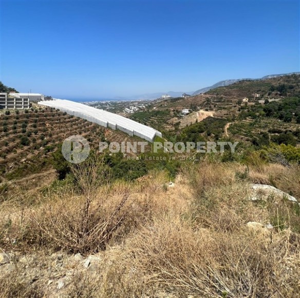 Участок площадью 541 м2 с разрешением на строительство, в четырех с половиной километрах от моря-id-6909-фото-2