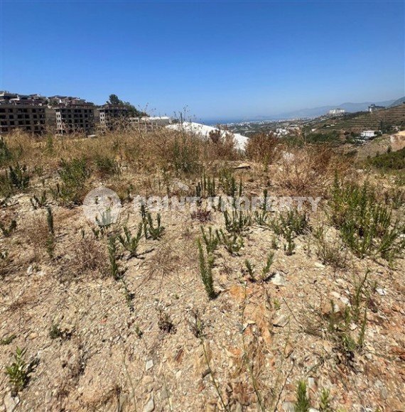 Участок площадью 541 м2 с разрешением на строительство, в четырех с половиной километрах от моря-id-6909-фото-8