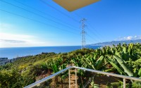 Ready-to-move-in apartment with panoramic sea views, in a green, environmentally friendly area of Alanya - Kargicak-id-7234-photo-15