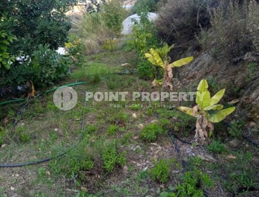 Spacious plot of land with an area of 2760 m2, two kilometers from the sea.-id-7657-photo-3