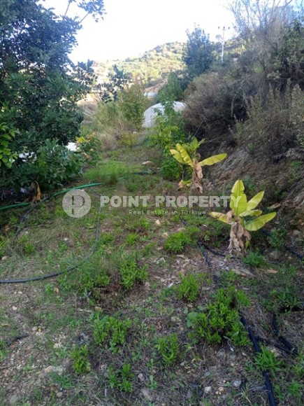 Просторный земельный участок, площадью 2760 м2, в двух километрах от моря.-id-7657-фото-3