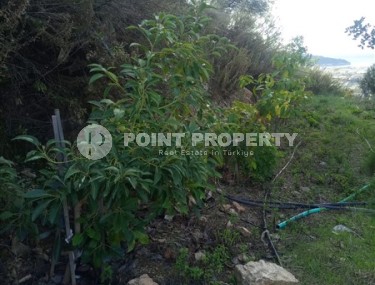 Spacious plot of land with an area of 2760 m2, two kilometers from the sea.-id-7657-photo-4