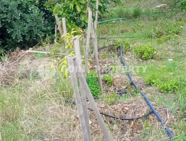 Spacious plot of land with an area of 2760 m2, two kilometers from the sea.-id-7657-photo-5