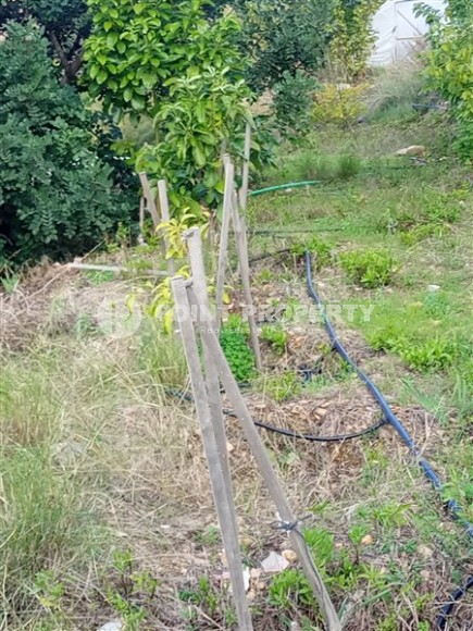 Просторный земельный участок, площадью 2760 м2, в двух километрах от моря.-id-7657-фото-5