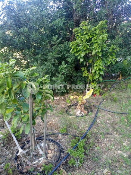 Просторный земельный участок, площадью 2760 м2, в двух километрах от моря.-id-7657-фото-6