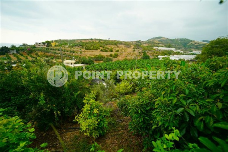 Отдельно стоящий меблированный двухэтажный частный дом, 3+1, 180м², в пригороде Алании-id-2100-фото-3