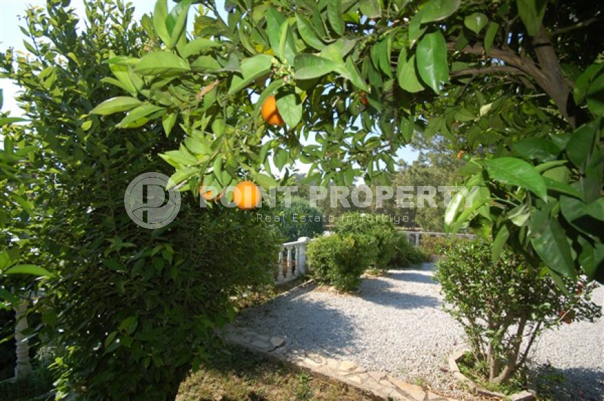 Private furnished villa 4+1, 220m² in a picturesque location in Avsallar, Alanya-id-2740-photo-19