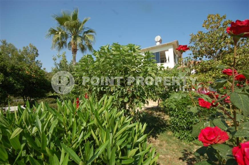 Private furnished villa 4+1, 220m² in a picturesque location in Avsallar, Alanya-id-2740-photo-20
