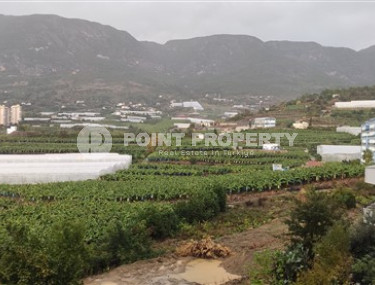 Two bedroom apartment, renovated, Mahmutlar, Alanya-id-3312-photo-4