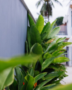 picture2