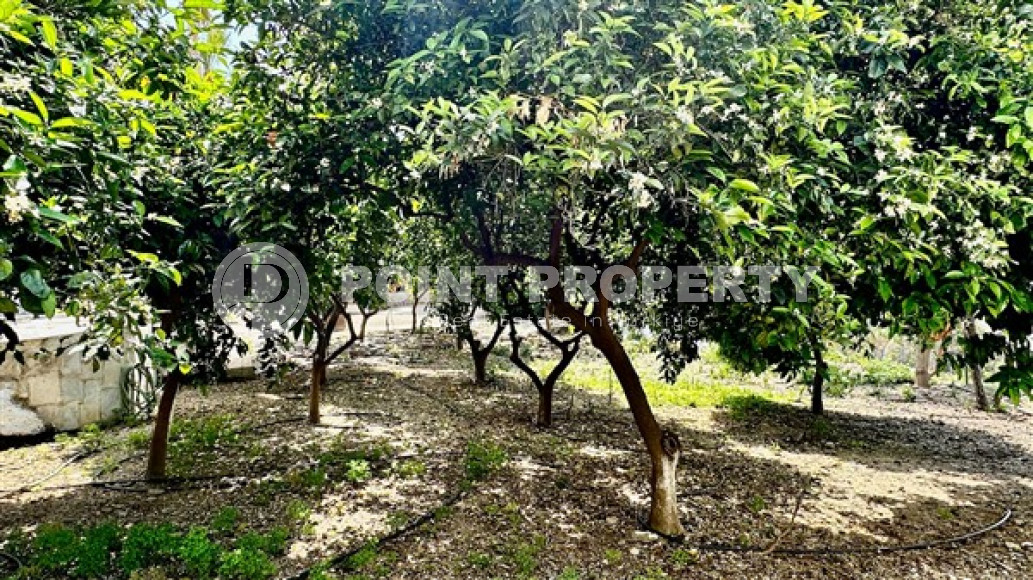 Очаровательная триплексная вилла с площадью 180 м2 и тремя ванными комнатами в районе Демирташ-id-4188-фото-18