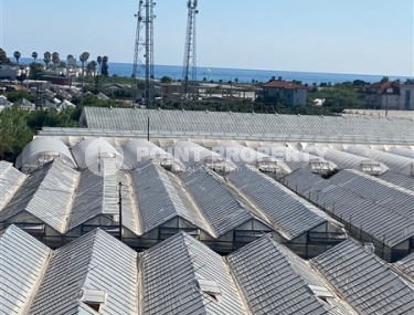 Небольшая квартира с чистовой отделкой в новом жилом комплексе, в перспективном районе Аланьи - Паяллар-id-5649-фото-4